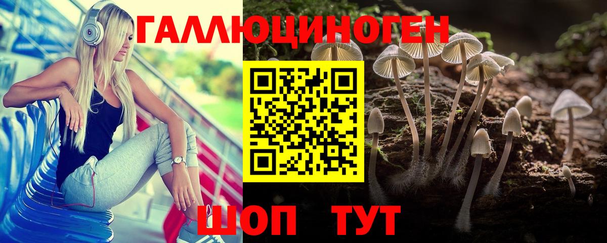 Псилоцибиновые грибы прущие грибы Обнинск
